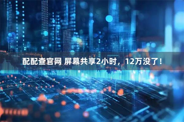 配配查官网 屏幕共享2小时，12万没了！